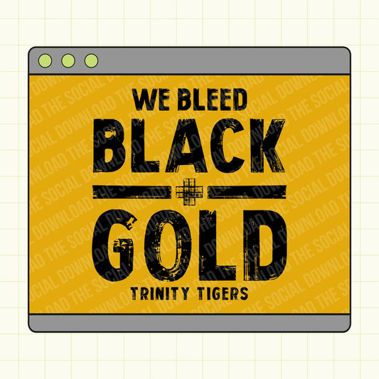 We Bleed Custom School Spirit tee shirt png file